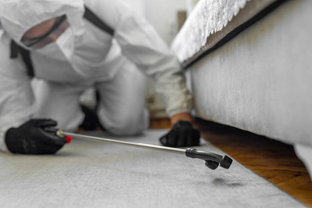 Professional Cockroach Control technician working in North Lindenhurst, NY